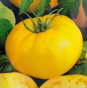 Томат Лимонный король 100 гр