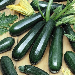 Кабачок (цуккини тёмно-зелёный) Нибиз F1 250 семян