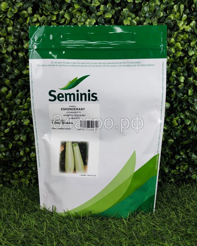 Кабачок Искандер F1 500 семян