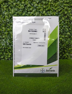 Томат Матиссимо F1 500 семян