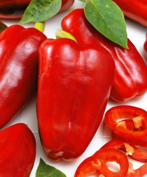 Перец сладкий Император 100 шт.