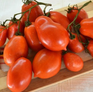 Томат Ракета 100 гр.