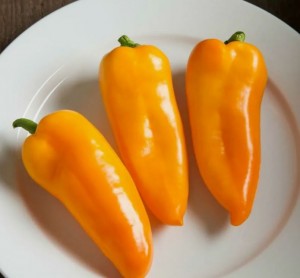 Перец Янтарь 50 гр.