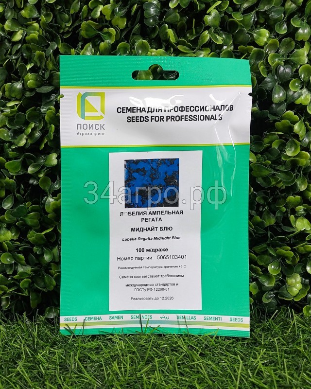 Лобелия ампельная Регата Миднайт Блю 100 драже копия №1772014813